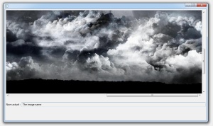An image viewer that scrolls when needed (scrolled view)